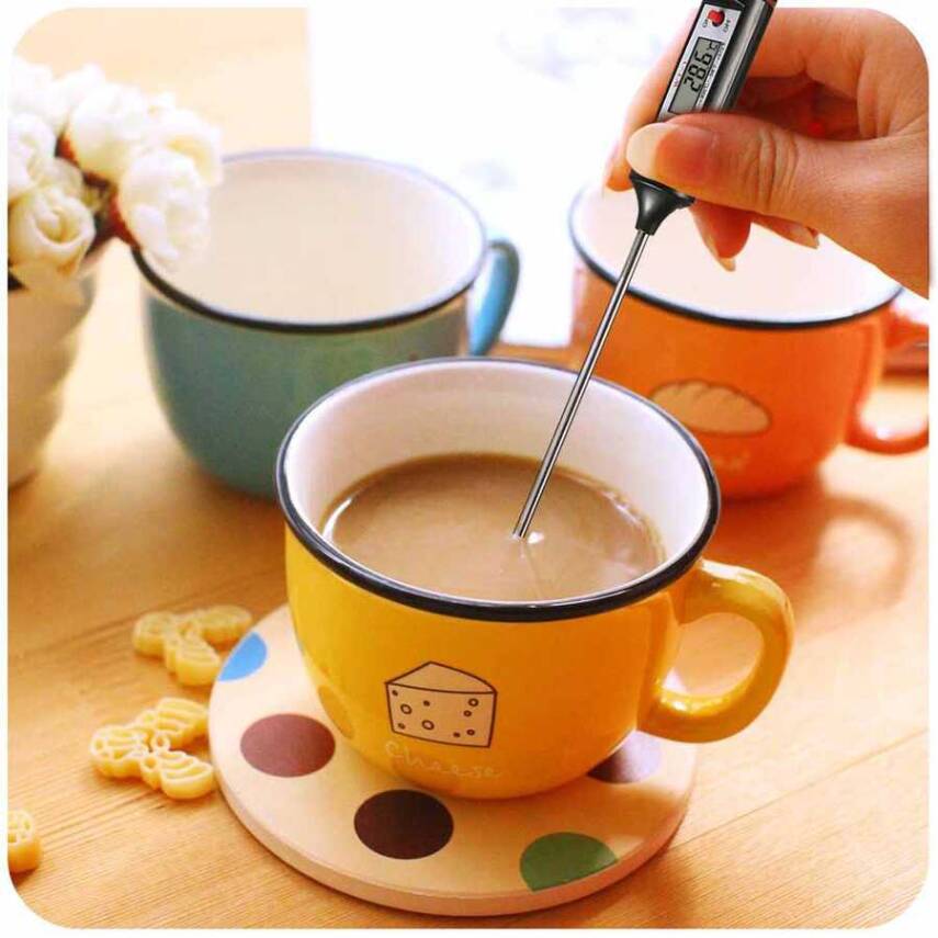 Epinox Dijital Termometre (DT-01) - 4