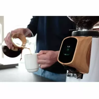 Fiorenzato All Ground Sense Kahve Değirmeni, Artic White & Walnut Wood - 2